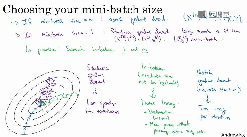 mini-batch size